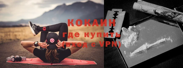 ECSTASY Алзамай