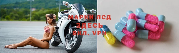 ECSTASY Алзамай