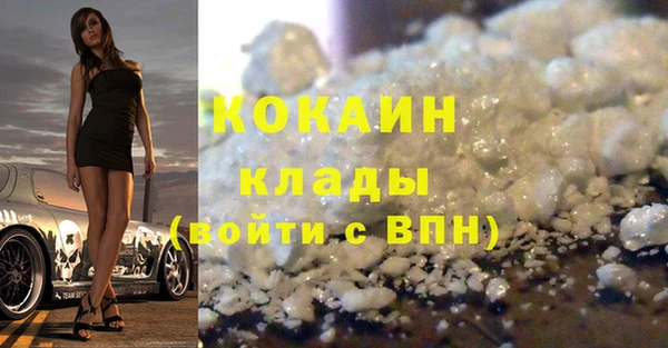 ECSTASY Алзамай