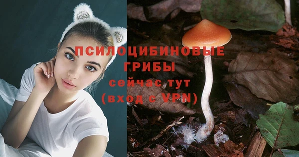 ECSTASY Алзамай