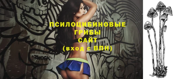 ECSTASY Алзамай