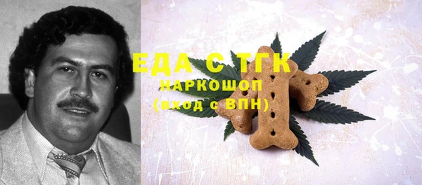ECSTASY Алзамай