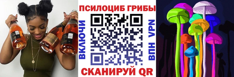 наркошоп  Жигулёвск  MEGA сайт  Псилоцибиновые грибы мицелий 